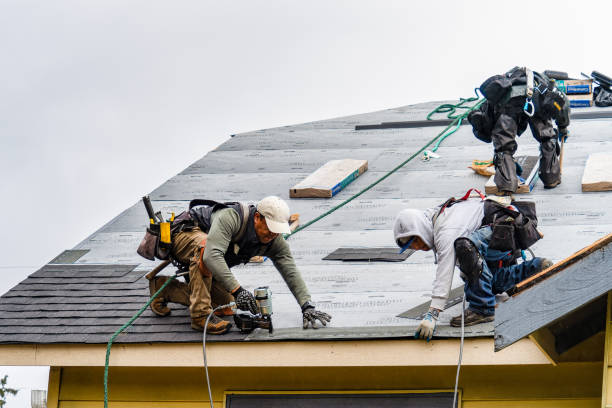Professional Roofing technician working in Westville, IN